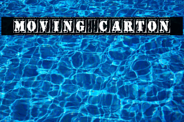 [Moving_Carton] Example 3