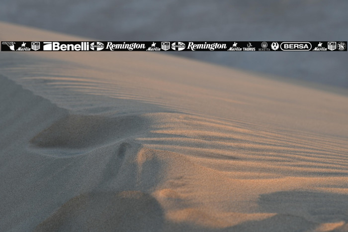 2nd Amendment Brands Example 3