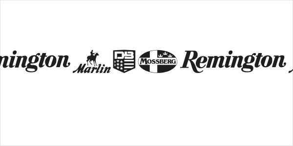 2nd Amendment Brands Logo