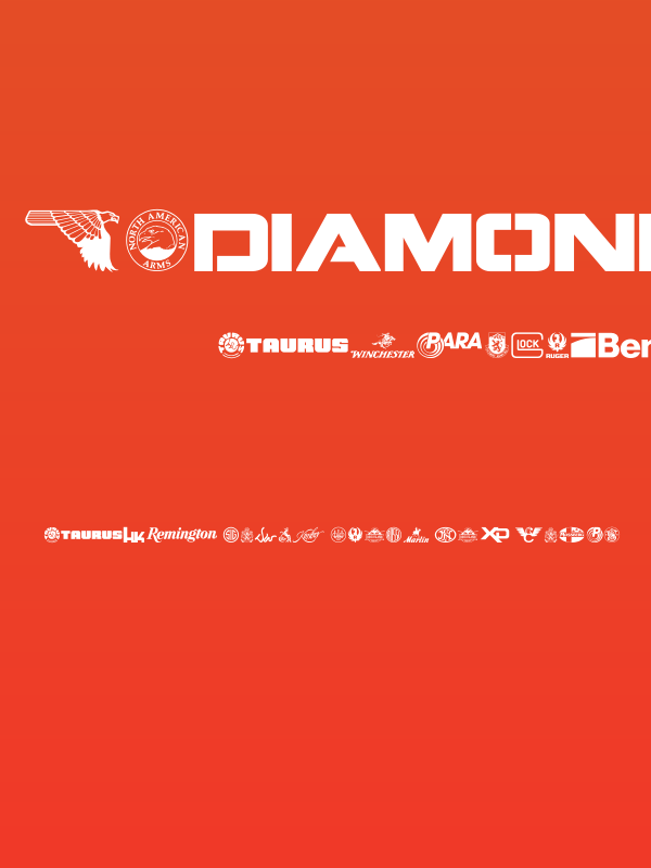 2nd Amendment Brands Poster