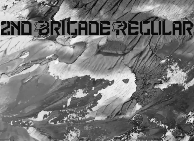 2nd Brigade Regular Polices examples