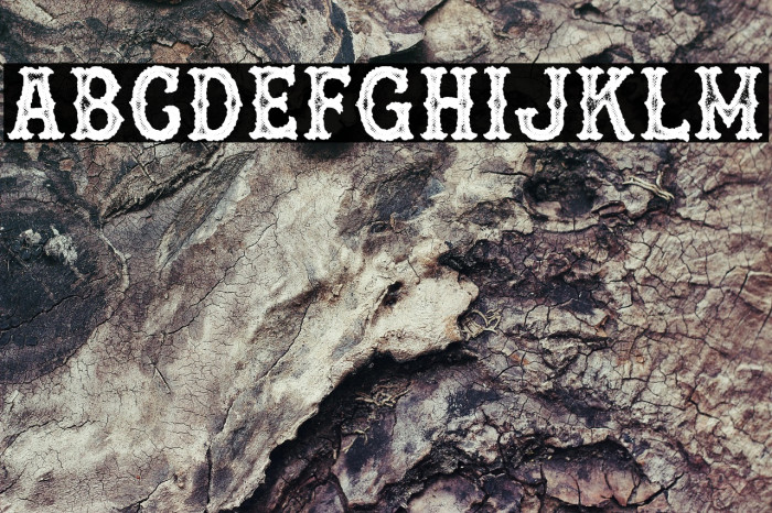 [OAKLAND] PERSONAL USE Regular Example 1