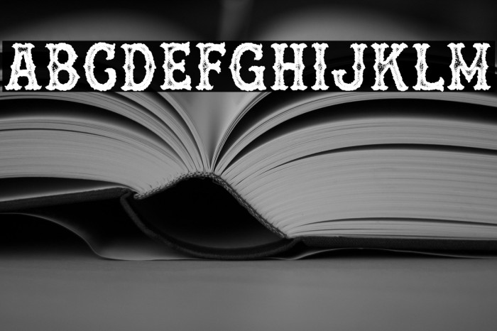 [OAKLAND] PERSONAL USE Regular Example 3