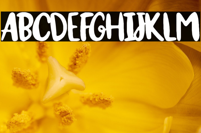 ¡Olé torero! Example 1