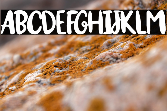 ¡Olé torero! Example 2