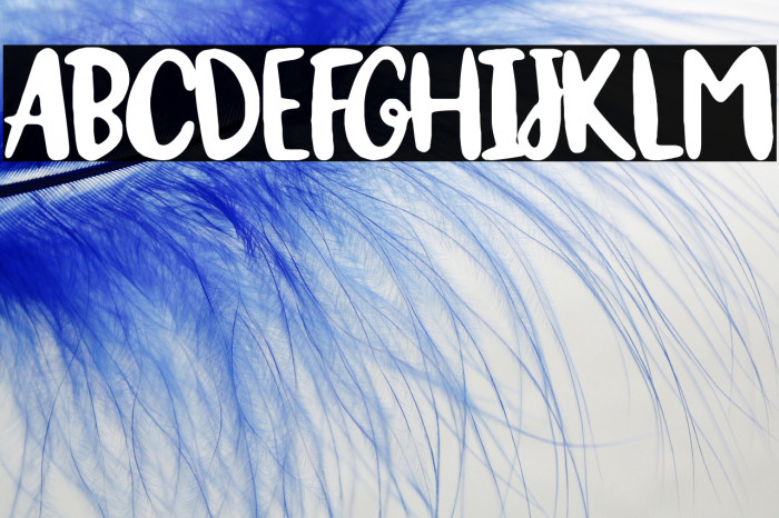 ¡Olé torero! Example 3