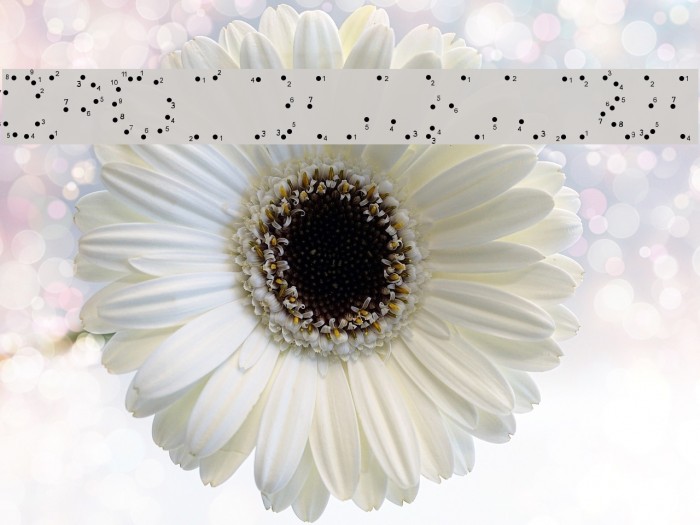 0Pointe-AFaire Font examples
