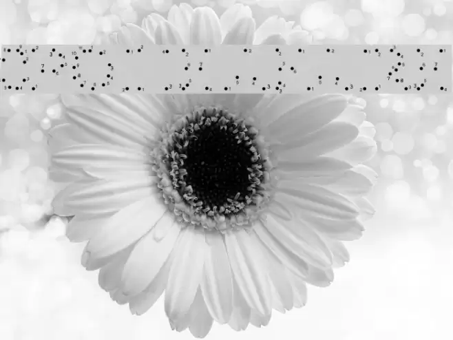 0Pointe-AFaire Schriftart examples