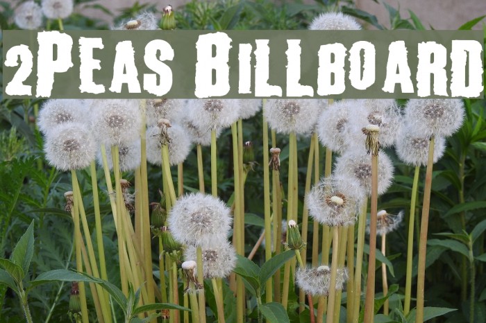 2Peas Billboard Font examples
