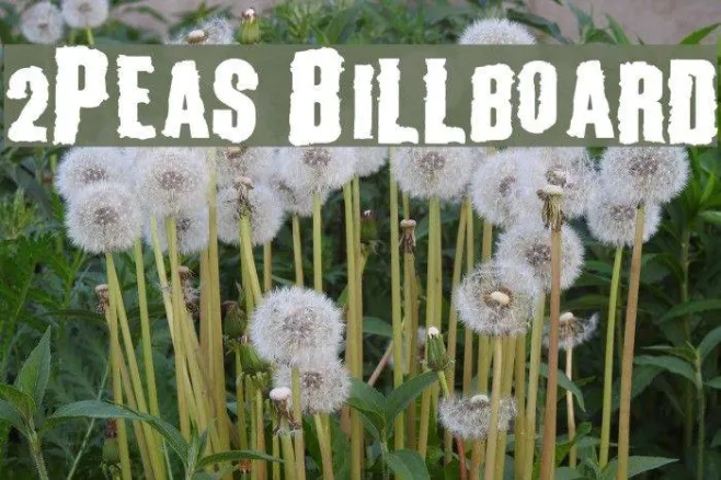 2Peas Billboard Example 1