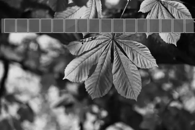 2Peas Blocks - Soccer Fonte examples