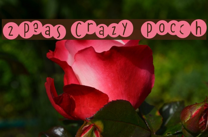 2Peas Crazy Pooch Font examples