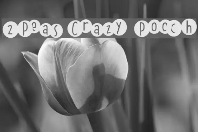 2Peas Crazy Pooch Font examples