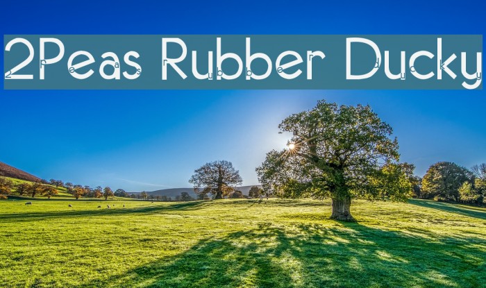 2Peas Rubber Ducky Font examples
