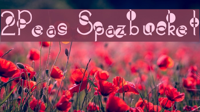 2Peas Spazbucket Font examples