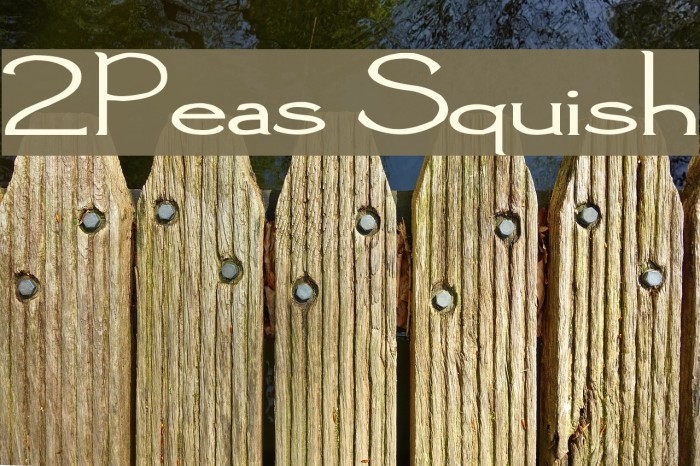 2Peas Squish Font examples