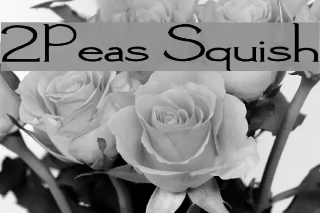 2Peas Squish Font examples