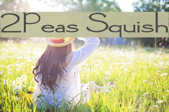 2Peas Squish Font examples