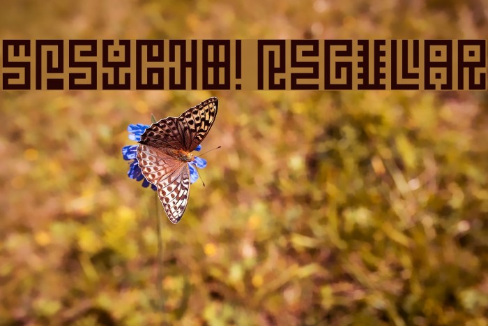 5Psycho! Regular Polices examples