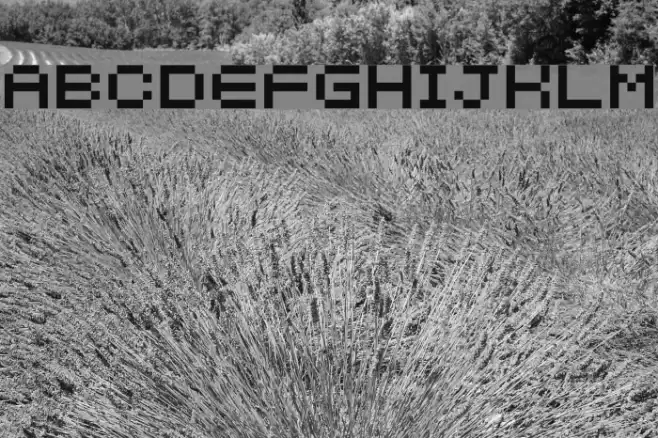 5px2bus Font examples