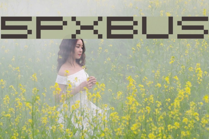 5pxbus Font examples