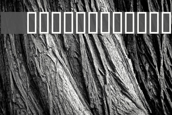 6px Expert Font examples