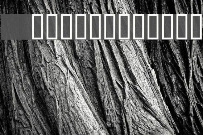 6px Expert Example 3
