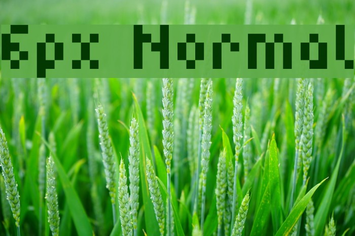 6px Normal Font examples