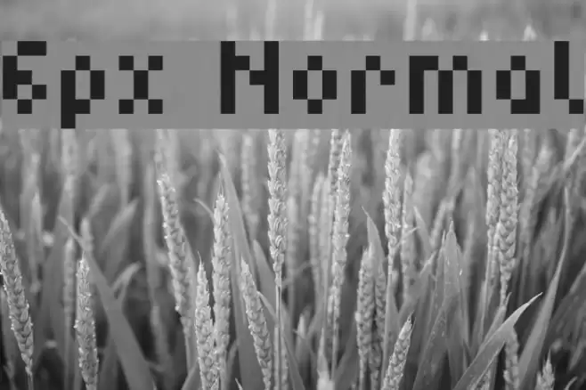 6px Normal フォント examples