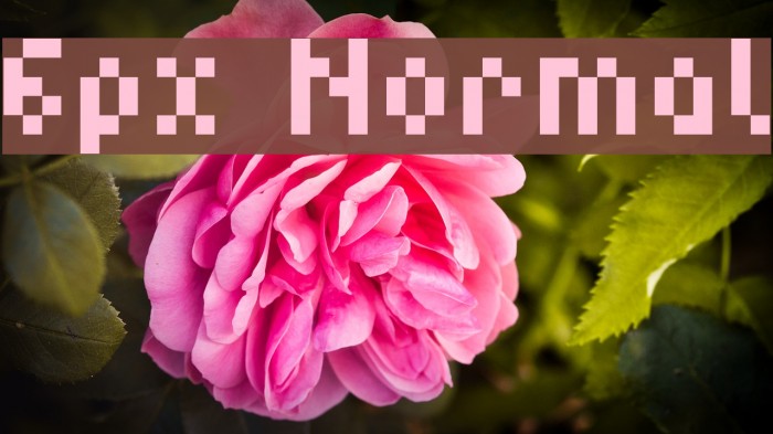 6px Normal Font examples