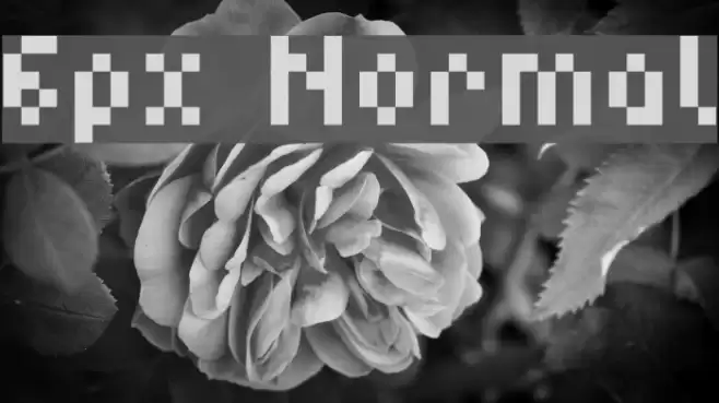 6px Normal フォント examples