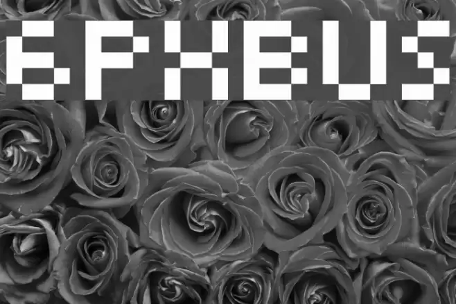 6pxbus Font examples