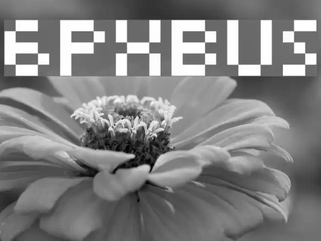 6pxbus Font examples