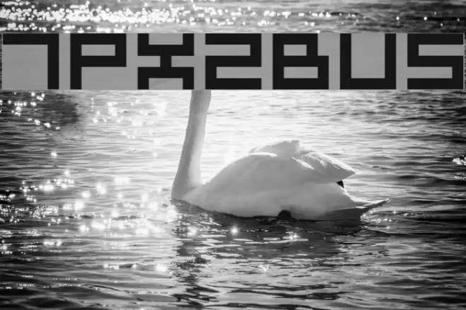 7px2bus Font examples