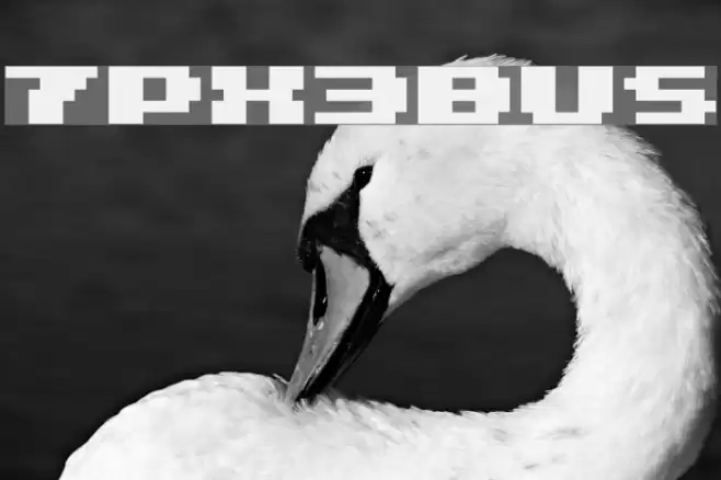 7px3bus Font examples