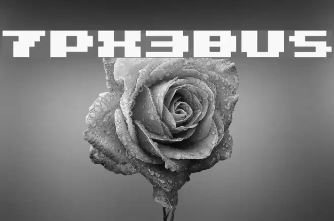 7px3bus Font examples