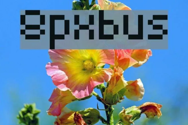 8pxbus Example 2