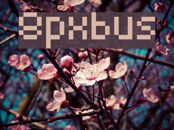 8pxbus Font examples