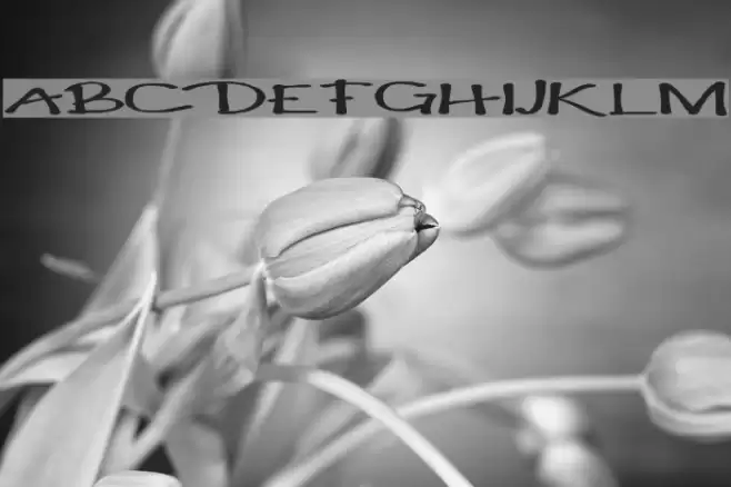 !PaulMaul Longs Font examples