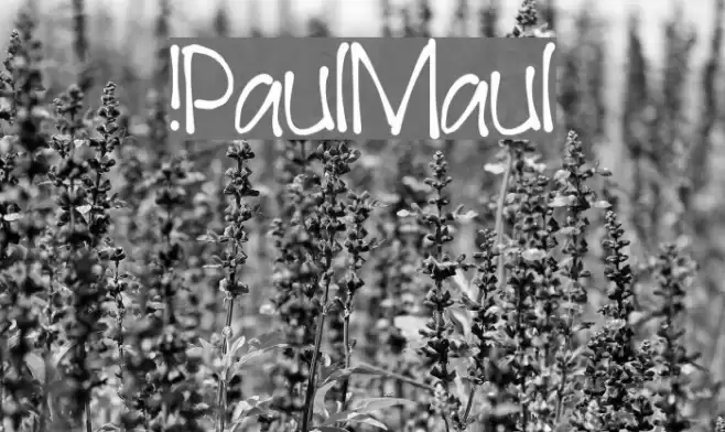 !PaulMaul Caratteri examples