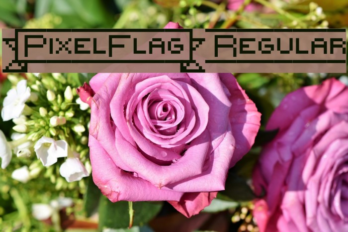 {PixelFlag} Regular Polices examples