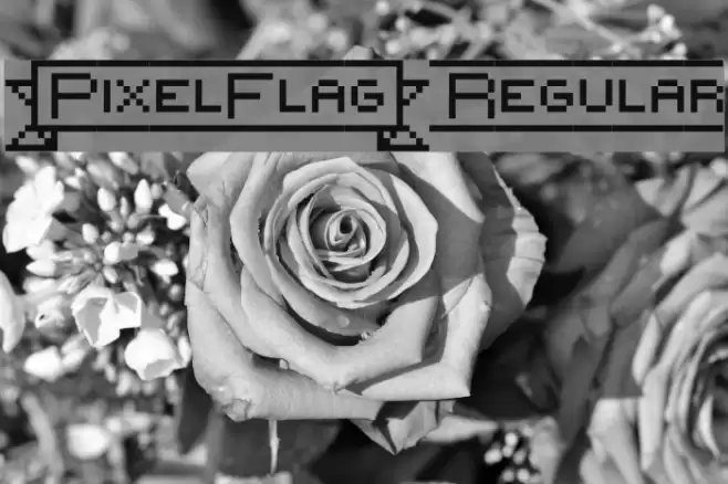 {PixelFlag} Regular Polices examples