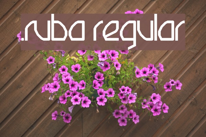 .Ruba Regular Fonte examples