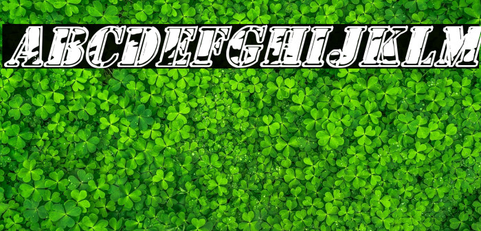 1st Cav II Italic Example 1