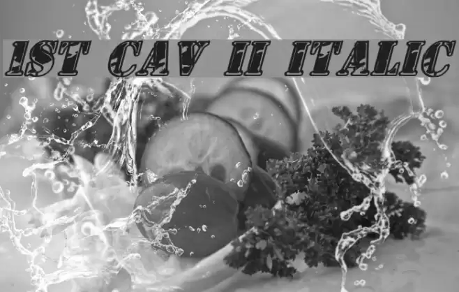 1st Cav II Italic Font examples