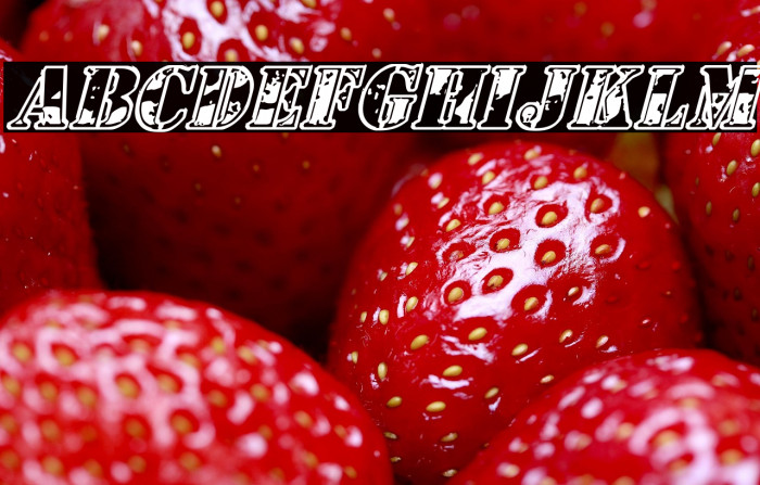 1st Cav Italic Example 2