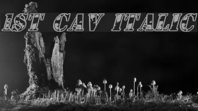 1st Cav Italic フォント examples
