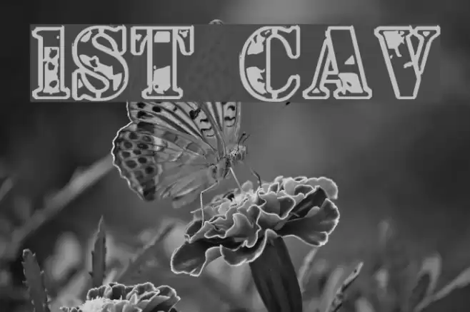 1st Cav Font examples