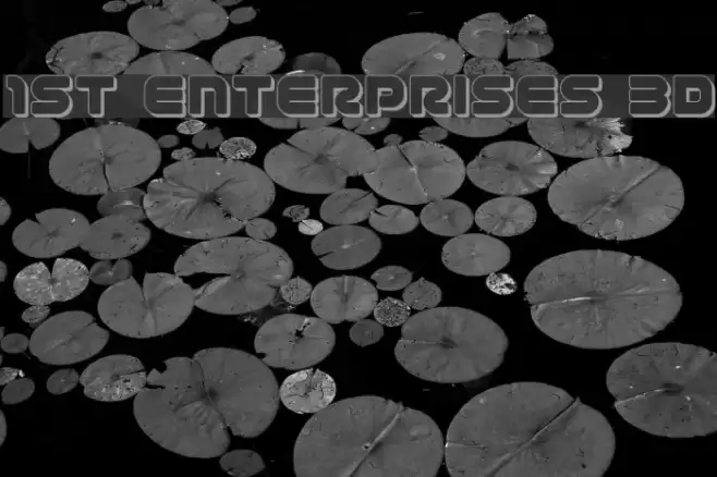 1st Enterprises 3D Font examples
