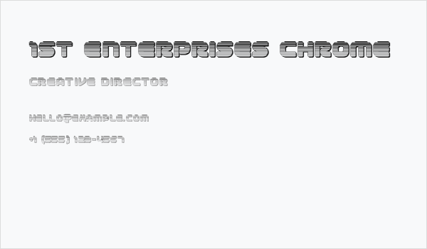 1st Enterprises Chrome Business Card